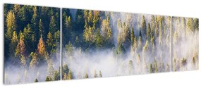 Obraz drzew we mgle (170x50 cm)