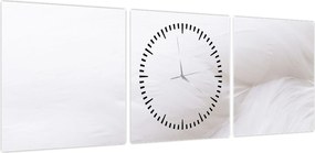 Obraz - Białe pióro (z zegarem) (90x30 cm)