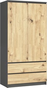 Dwudrzwiowa szafa szary + dąb artisan F4-D18