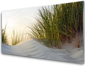 Panel Szklany Wydmy Piaszczyste I Trawy