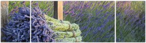Obraz - Pęczki lawendy (170x50 cm)