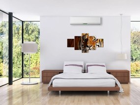 Obraz tygrysa (125x70 cm)