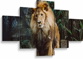 Obraz lwa w naturze (125x70 cm)