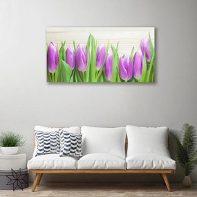 Obraz Canvas Tulipany Kwiaty Natura