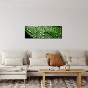 Obraz - Liść po deszczu (z zegarem) (90x30 cm)