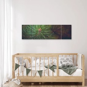 Obraz - Detal sosny (170x50 cm)