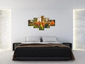 Obraz - kwiaty tulipanów (125x70 cm)