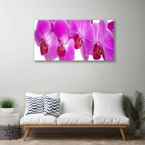 Fotoobraz na płótnie Botaniczny Ogród Kwiatowy