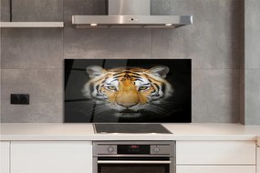 Panel szklany do Kuchni Portret Dzikiego Tygrysa