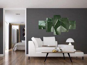 Obraz - Zielona agawa (125x70 cm)