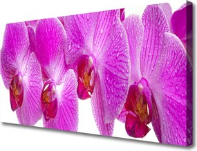 Fotoobraz na płótnie Botaniczny Ogród Kwiatowy