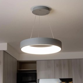 Brilagi - LED ściemnialny żyrandol na linkach FALCON LED/80W/230V 3000-6500K + PILOT