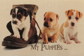 Wycieraczka Deco Star My Puppies 40 cm x 60 cm
