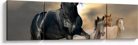 Obraz - Konie (170x50 cm)