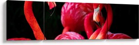 Obraz czerwonych flamingów (170x50 cm)