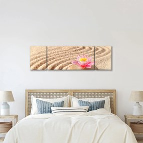 Obraz kamienia z kwiatem na piasku (170x50 cm)