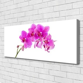 Obraz Canvas Storczyk Kwiat Orchidea