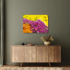 Obraz na szkle - różowy kwiat (70x50 cm)
