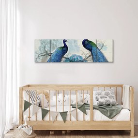 Obraz - Pawie tekstury (170x50 cm)