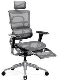 Fotel ergonomiczny Diablo V-Master, czarno-szary