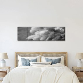 Obraz - trawa z króliczym ogonkiem na stole (170x50 cm)