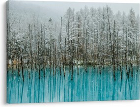 Obraz - Turkusowy staw, Biei, Japonia (70x50 cm)