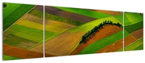 Obraz - Pola, łąki (170x50 cm)