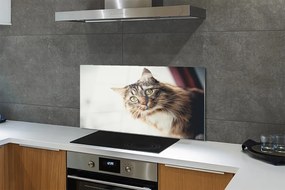 Panel Szklany Kot maine coon