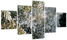 Obraz - Detal gałęzi (125x70 cm)