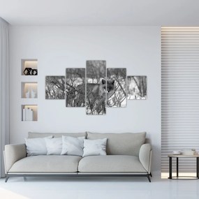 Obraz - Lis w zimie (125x70 cm)
