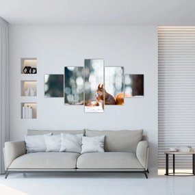Obraz - Wiewiórka (125x70 cm)