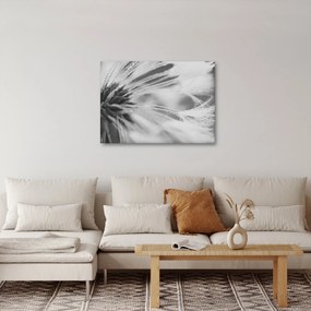 Obraz - Mlecz (70x50 cm)