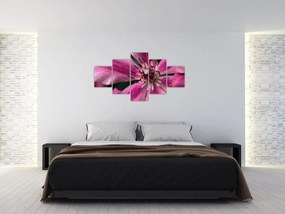 Obraz różowego kwiatu powojnika (125x70 cm)