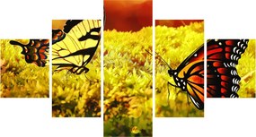 Obraz motyli (125x70 cm)