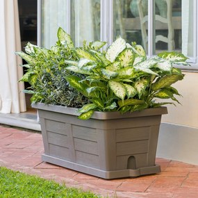 Bama Wielkogabarytowa skrzynka ogrodowa Legno cappuccino, 80 x 40 x 35 cm, 80 cm