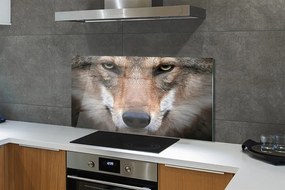 Panel Kuchenny Szklany Intensywne Oczy Wilka