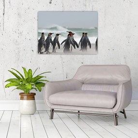 Obraz na szkle pingwinów nad oceanem (70x50 cm)
