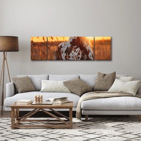 Obraz - Koń o zachodzie słońca (170x50 cm)