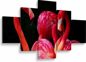 Obraz czerwonych flamingów (125x70 cm)