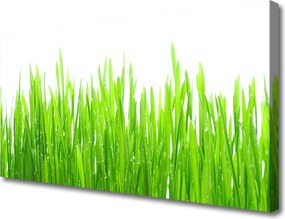 Obraz canvas Naturalna Świeżość Trawy