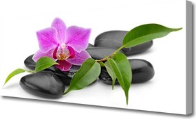 Obraz canvas Orchidea w Nowoczesnym Wydaniu