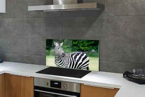 Panel szklany do Kuchni Zebra na tle Afrykańskiej Równiny