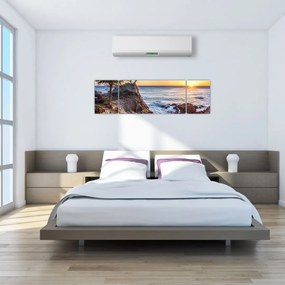 Obraz - Wybrzeże Pacyfiku (170x50 cm)