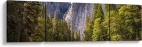 Obraz - Pod Yosemite Rock (170x50 cm)