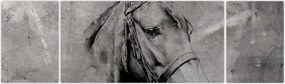 Obraz - Portret konia (170x50 cm)