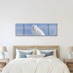 Obraz - Lis polarny (170x50 cm)