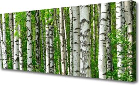 Zdjęcie na płótnie Dziki Bór Sosnowy