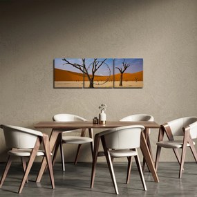 Obraz - Dolina Śmierci (z zegarem) (90x30 cm)