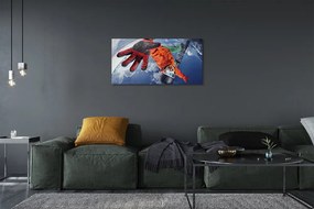 Zdjęcie na płótnie Pasjonat Sportów Zimowych