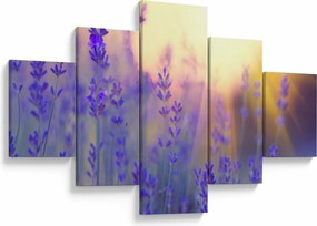 Obraz - Lawenda (125x70 cm)